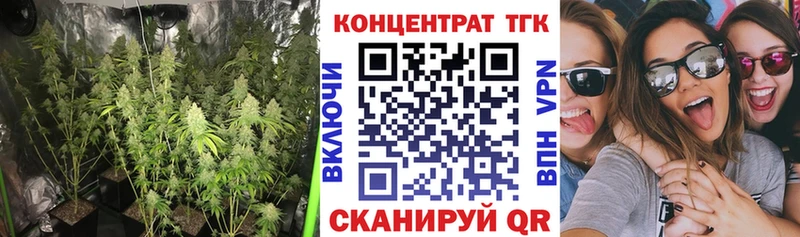 ТГК Wax Лесной