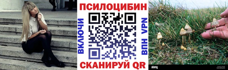 Галлюциногенные грибы прущие грибы  Лесной 