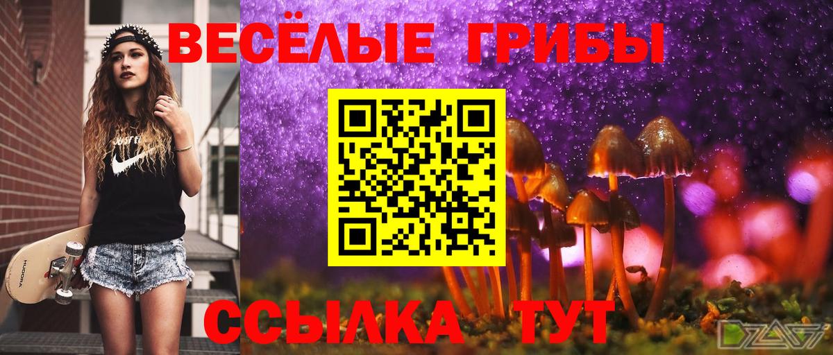 Галлюциногенные грибы Лесной