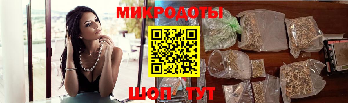 Лесной  Псилоцибиновые грибы Psilocybe  Вход с VPN 
